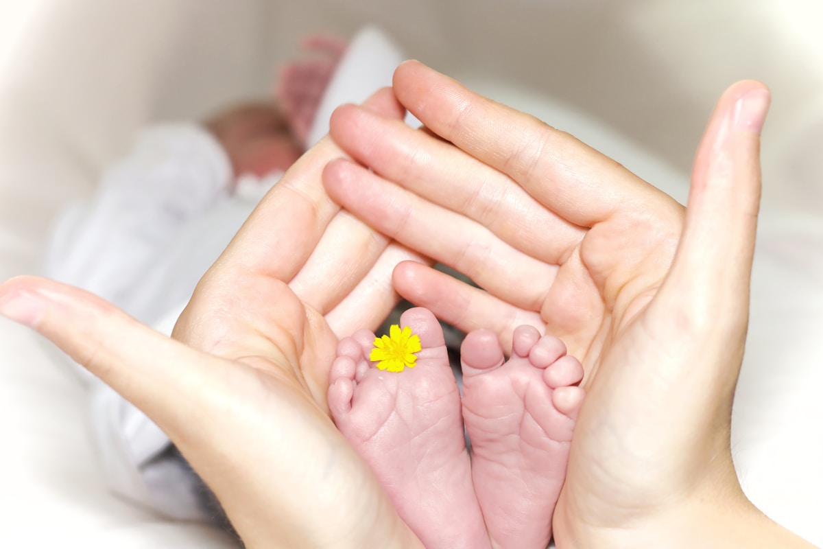 Surveiller le développement d'un bébé prématuré : les étapes clés de la croissance 1 person holding baby's toe with yellow petaled flower in between